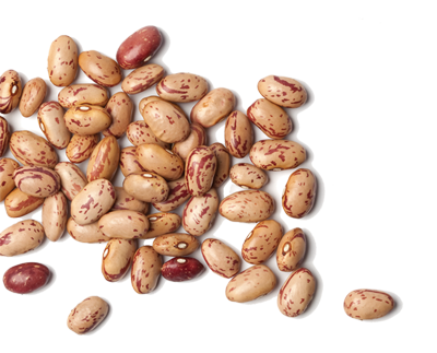Variety of plain canned beans