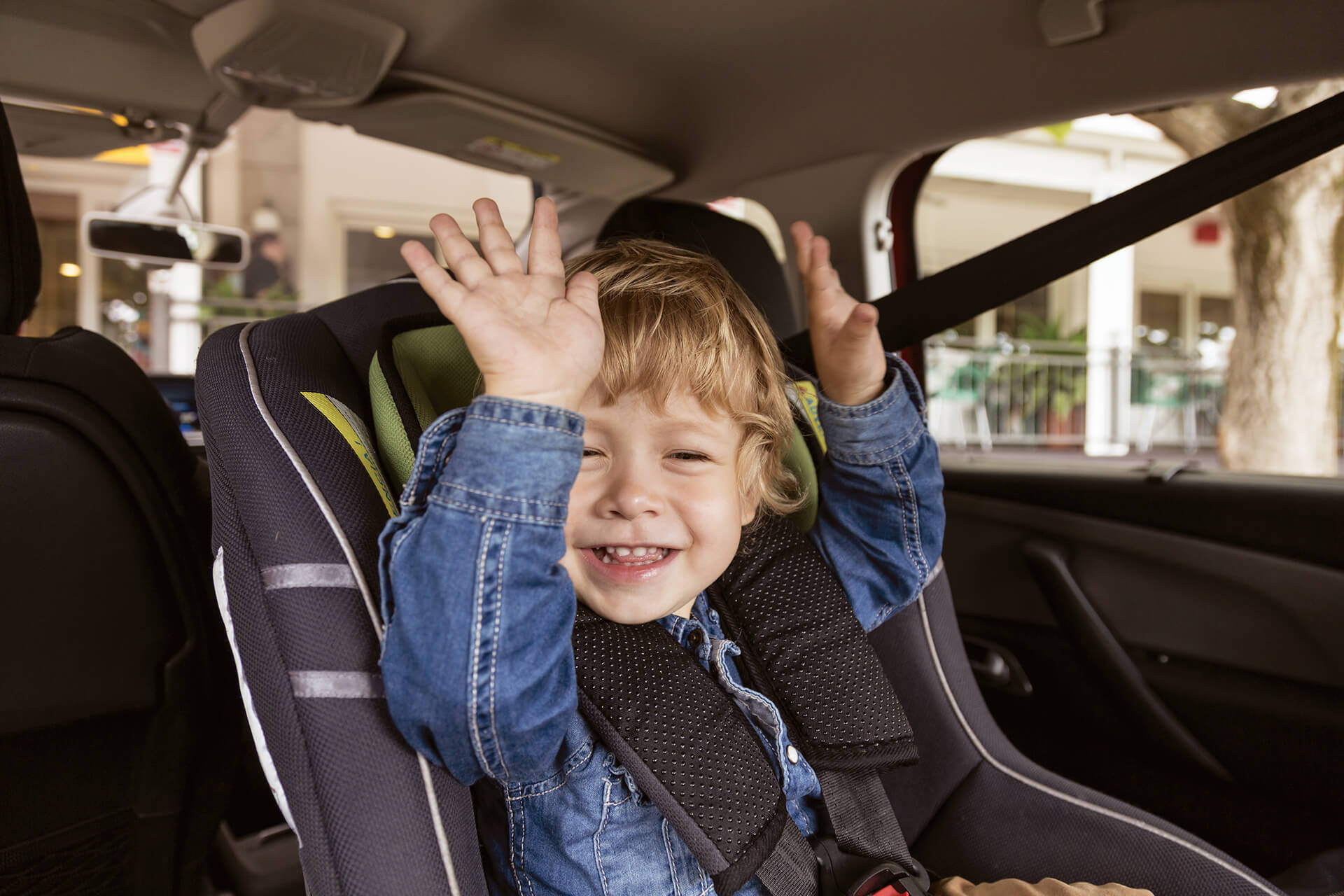 Boy Toddler Carseat